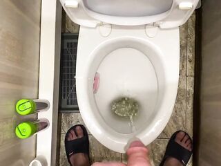 Morning long pissing in the shitter POV