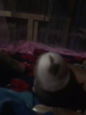 Bangali Pron Video I Am Single.black Cook.