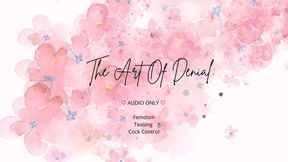 The Art Of Denial (audio only)