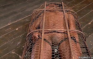 Ebony sub in wire cage vibrated
