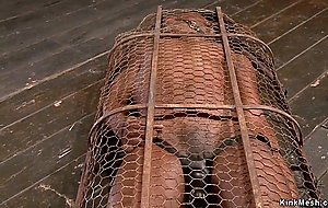 Ebony sub in wire cage vibrated