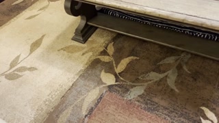 Danni’s Son’s Friend Gets A Footjob - Danni Jones