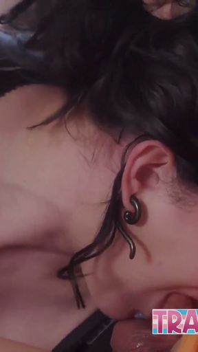 Curvy Trans Bambi Hart Hard Anal Pounding by Horny Roomate   Clip 1