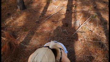 Sexy blonde Sucks Dick in the Woods