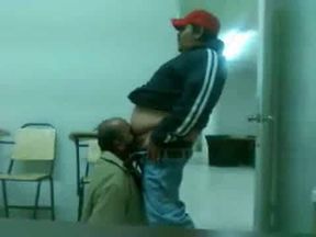 Fat Daddy Bear Sucks Chub