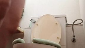 Various Toilet Scenes &mdash;  Including Public Toilets