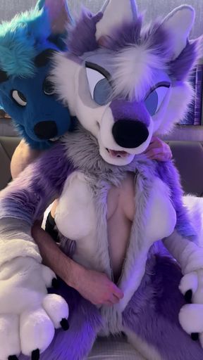 Furry costume party