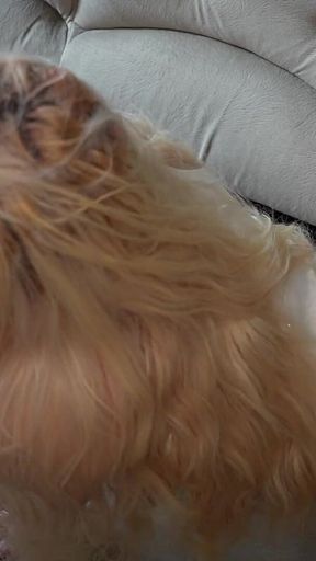 How Did He Not Notice? Cheating on My Stupid Husband in the Next Room