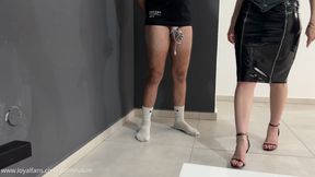 Are you strong enough pet ?