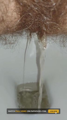 Woman Pissing in the Toilet, Golden Shower, Hairy Pussy Pee