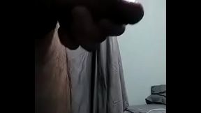 Chacal mexicano