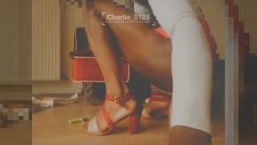 le duo saucisson concombre a croquer