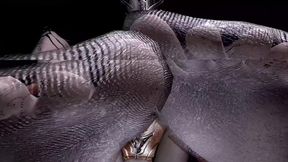 3D cute cosplay slut cheating with big dick