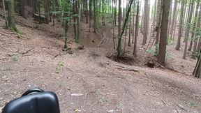 Wilderness Without Inhibitions Chasing in the Middle of the Forest