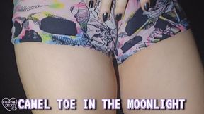 Camel toe in the moonlight [MP4 - 1080p]