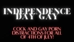 INDEPENDENCE DAY GAY Audio Mind Fuck Loop