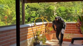 thief gets a jackpot!!! milf offered anal sex for not be stoled - salome gil