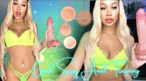 Good Sissy Anal Training