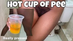 Hot Cup of Pee Compilation MP4 Rowanie pees in a cup in between her hairy Ass and legs shot in a Point of View all sound on with no external noise HD only pee sounds in my toilet