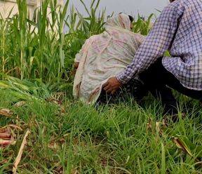 Poor Girl getting Fucked while cutting fodder in the fields.