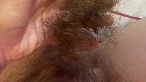 Kitty Hair Closeup Trimmed and Sexy