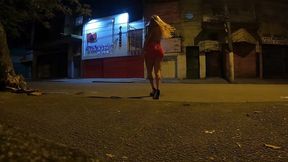 fui pra rua pedir um taxi e gozei sentando no motorista