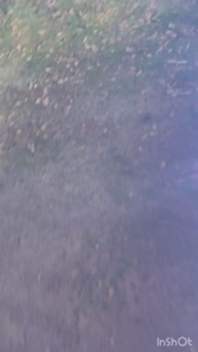 Got caught fucking in public