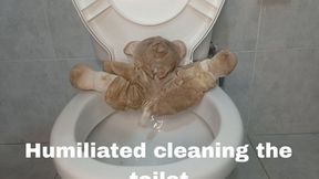 Humiliated cleaning the toilet