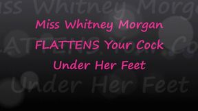 Whitney Morgan Flattens Your Cock Under Her Feet - wmv
