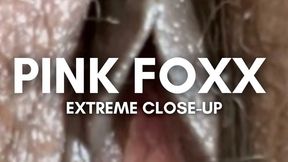 Extreme Close-Up of Pink Foxx's Pussy