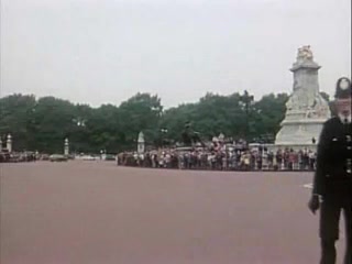 Happy Holidays Sexy Brunettes