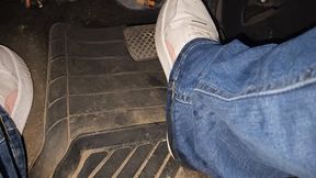 Quick morning drive in Pumas