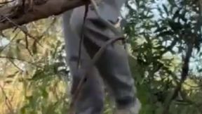 i was filming myself jerking off in the woods when a cute boy came and sucked me (and rimmed too)