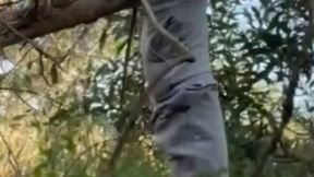 hot amateur boy sucks and rims in the woods