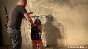 vibed and caged