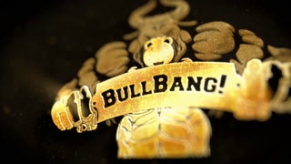 Raven Spades wants to breeding from Bullbang