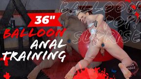 Barefoot Liam Idols: 36in Latex Balloon Anal Training & Sit2Pop