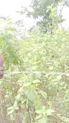Rajesh Playboy 993 Three Outdoor Pissing Videos. Outside in the Forest, Jungle, Near the Lake, on the Rock Hill
