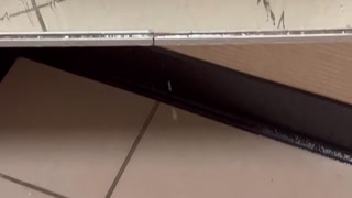 Squirting Asian Babe flooded the entire dressing room