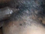 Proxy,s hairy pussy 242306