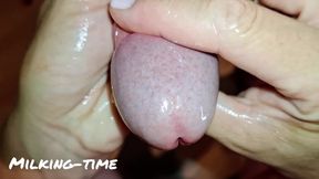 Dirty Talking Foreskin Play Tickling Handjob (milking-time)