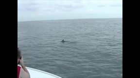 Three Lesbians on a Boat Get It for Each Other.