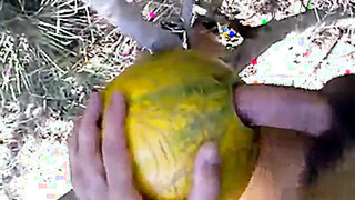 outdoor fun with melon 4