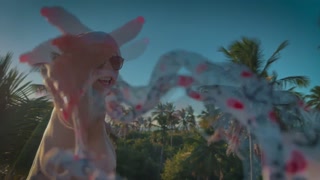 At cassiflix the fun is guaranteed with a lot of sex, a lot of naughtiness and a lot of provocation. Don't miss out!