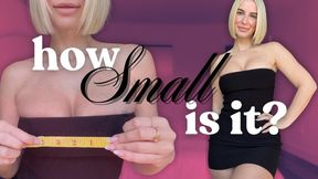 How Small is It?