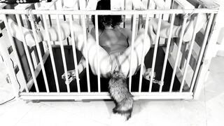 My kitty love to cum and squirt: Cage fetish for irresistible kitty