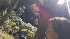 Stranger invites me to smoke in ARVI park and I end up myself in the nature of Medellín