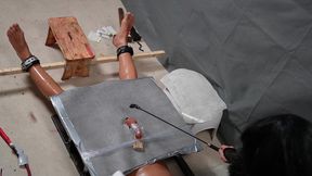 CBT on the cockboard with femboy Lucy