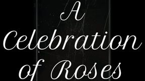 A Celebration of Roses