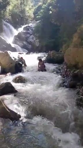 Sexy Couple Wants to Have Sex in the Jungle